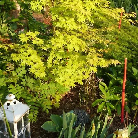 Feriehus La Bergerie: Maison Ancienne Avec Jardin Anglais, 2 - Fr-1-497-35