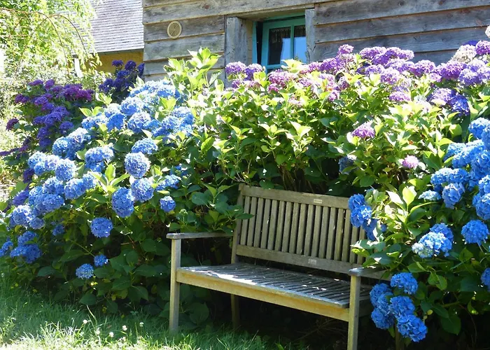 Casa vacanze La Bergerie: Maison Ancienne Avec Jardin Anglais, 2 - Fr-1-497-35 *