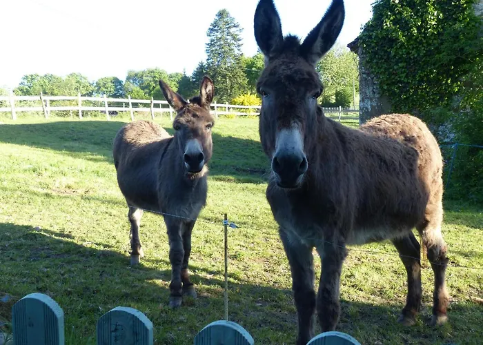 La Bergerie: Maison Ancienne Avec Jardin Anglais, 2 - Fr-1-497-35 Casa vacanze Sainte-Opportune