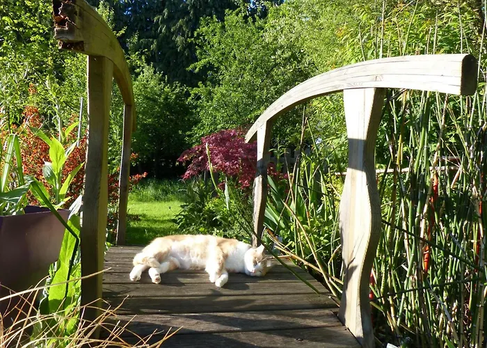 La Bergerie: Maison Ancienne Avec Jardin Anglais, 2 - Fr-1-497-35 Sainte-Opportune