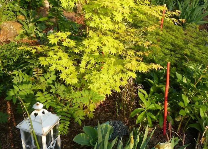 Casa vacanze La Bergerie: Maison Ancienne Avec Jardin Anglais, 2 - Fr-1-497-35
